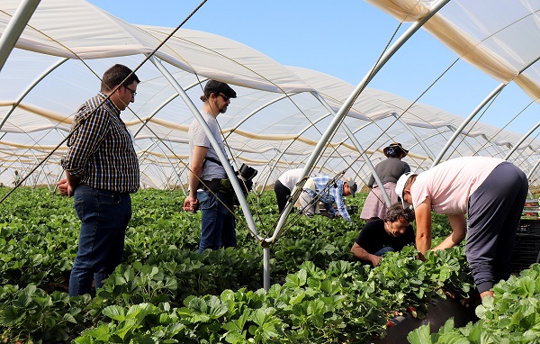 agricultores-almonte